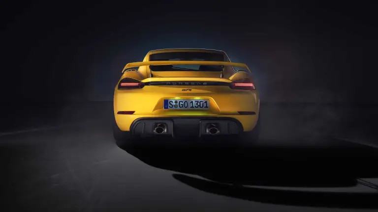 Porsche 718 Cayman GT4 2020 e 718 Spyder 2020 - 10