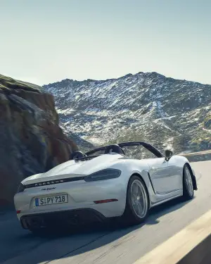 Porsche 718 Cayman GT4 2020 e 718 Spyder 2020