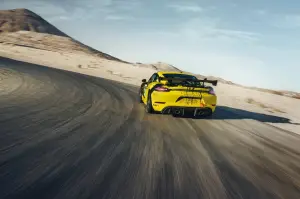 Porsche 718 Cayman GT4 Clubsport 2019 - 5