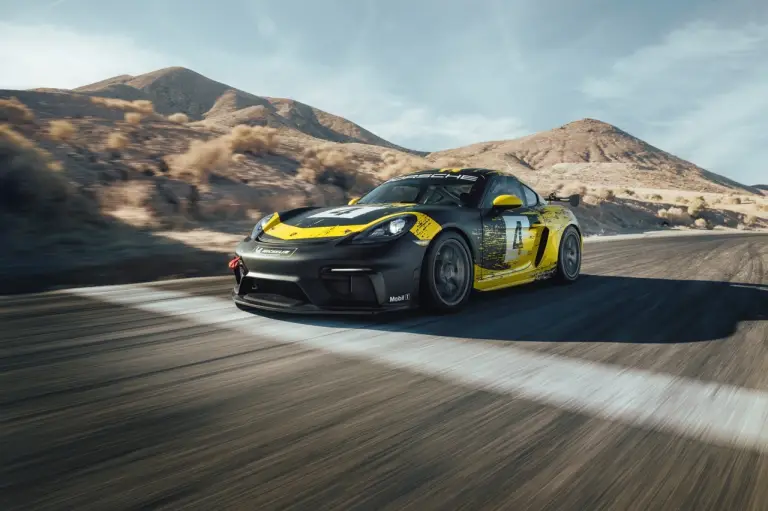 Porsche 718 Cayman GT4 Clubsport 2019 - 11