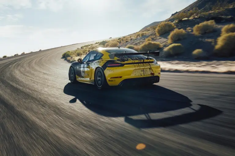 Porsche 718 Cayman GT4 Clubsport 2019 - 13