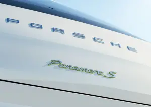 Porsche Cayenne & Panamera S E-hybrid - 8