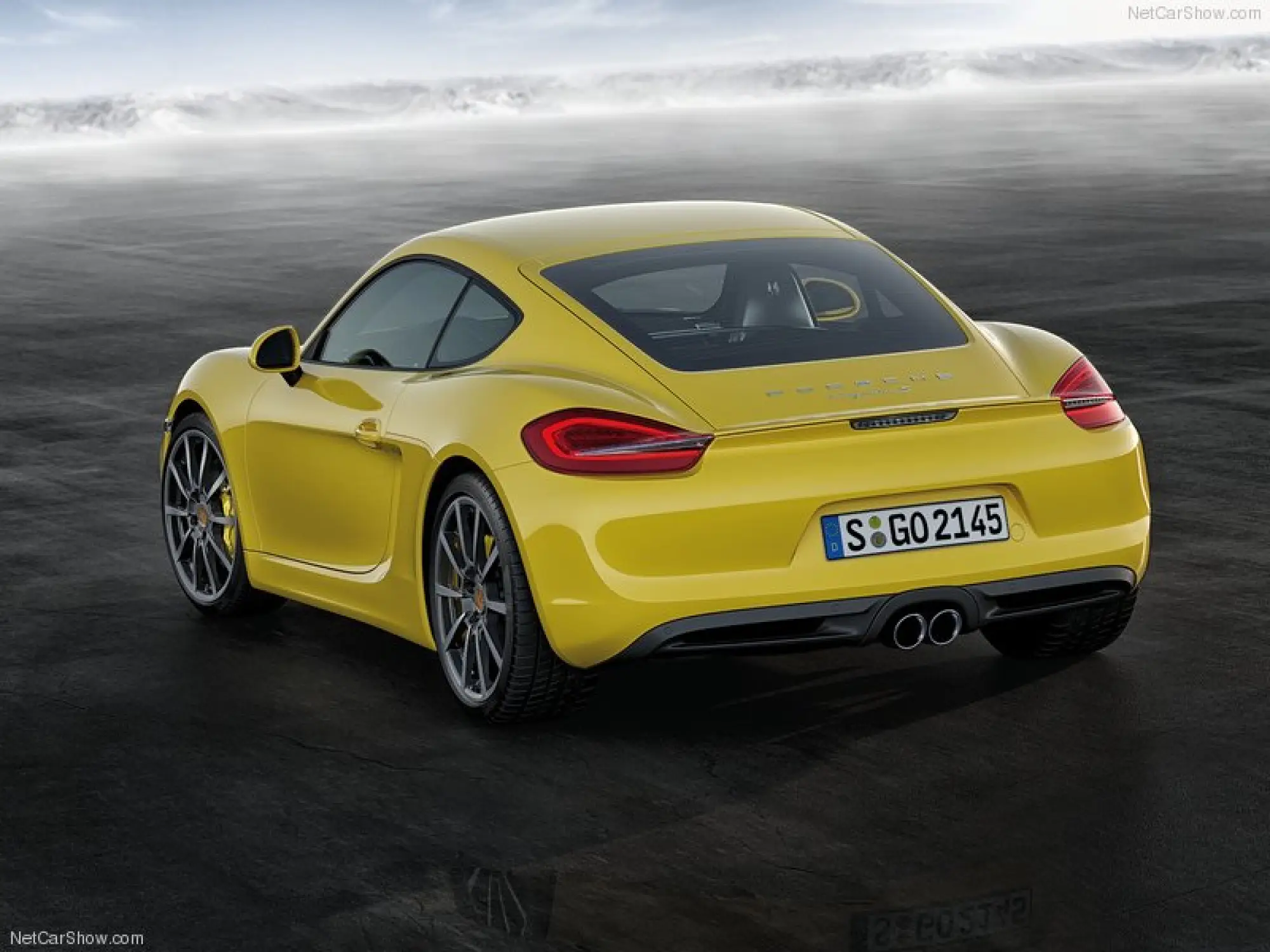 Porsche Cayenne Turbo S e Cayman 2014 - Salone di Detroit 2013 - 8