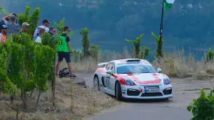 Porsche Cayman GT4 Clubsport Rally
