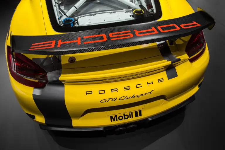 Porsche Cayman GT4 Clubsport - 5