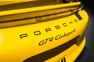 Porsche Cayman GT4 Clubsport - 7