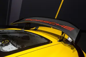 Porsche Cayman GT4 Clubsport - 9