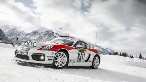 Porsche Cayman GT4 Rallye Concept - 1