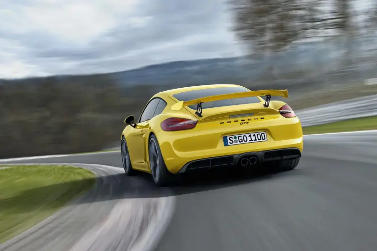 Porsche Cayman GT4  - 10