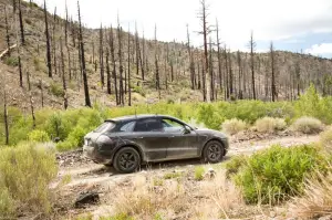 Porsche Macan - Nuove foto ufficiali - 8