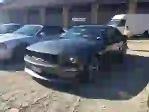 Raduno Ford Mustang Vairano