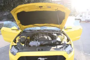 Raduno Ford Mustang  - 131