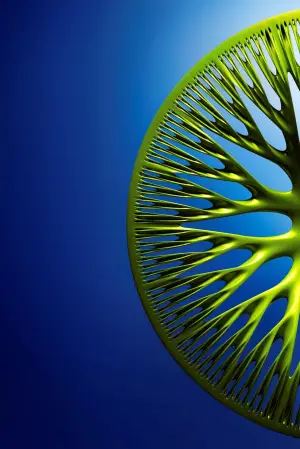 Renault Concept 2013 - Teaser - 6