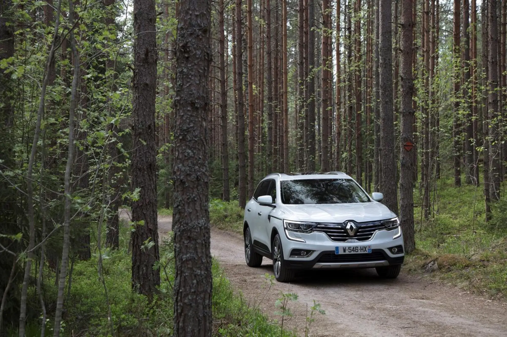 Renault Koleos 2017 - 29