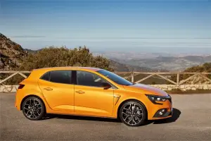 Renault Megane RS - 2018 - 85