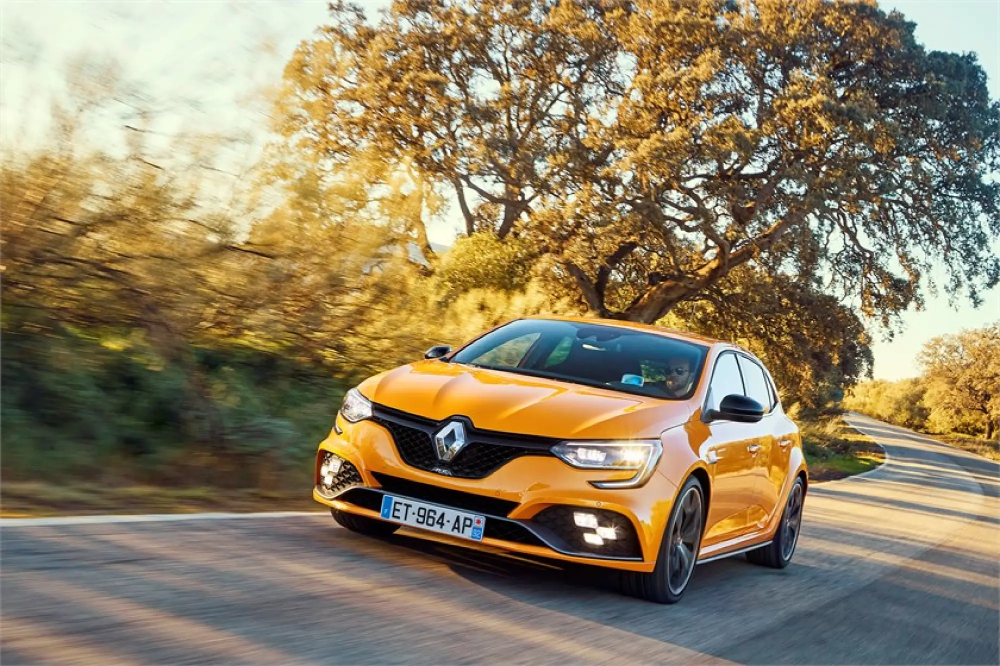 Renault Megane RS - 2018 - 98