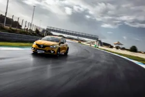 Renault Megane RS Trophy MY 2019 - 53