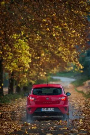 SEAT Ibiza Cupra MY 2016 - Foto ufficiali