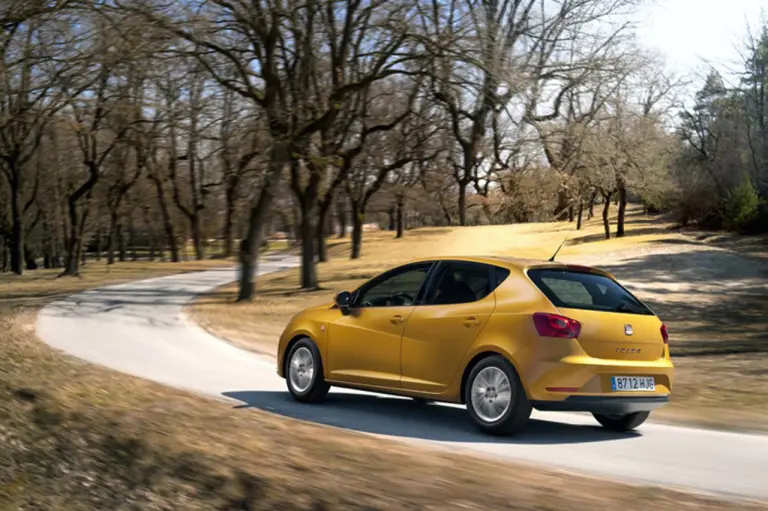 Seat ibiza restyling 2012 - 18