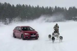 Seat Leon Cupra vs team di husky