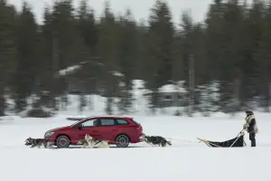 Seat Leon Cupra vs team di husky