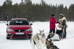 Seat Leon Cupra vs team di husky