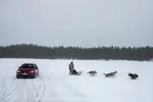 Seat Leon Cupra vs team di husky - 4