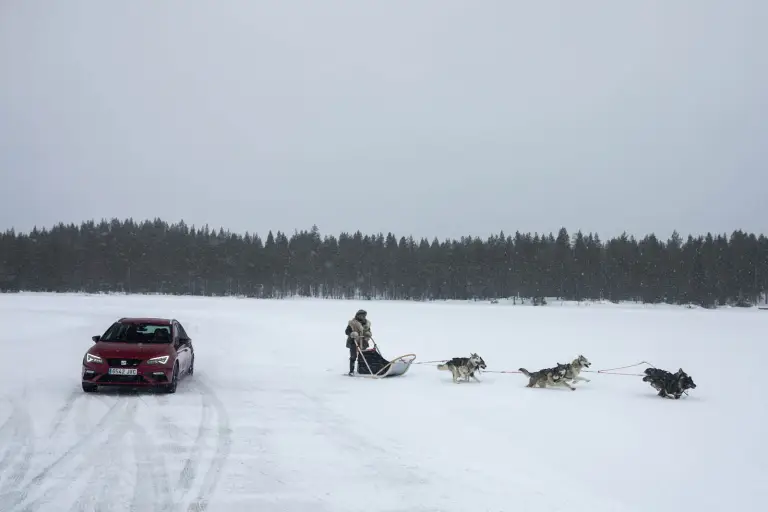 Seat Leon Cupra vs team di husky - 4