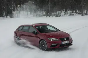 Seat Leon Cupra vs team di husky