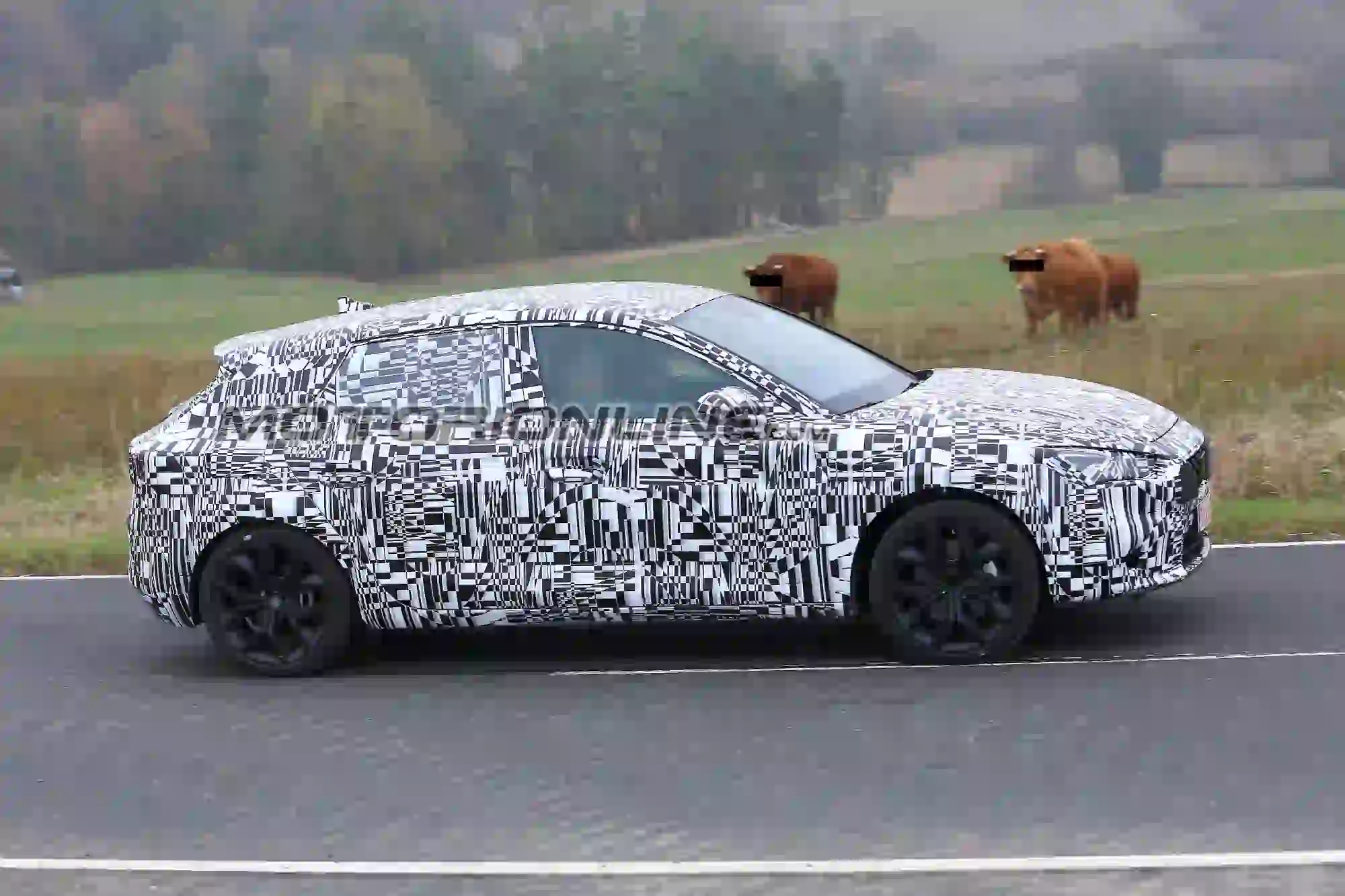 Seat Leon MY 2019 foto spia 20 novembre 2018 - 5