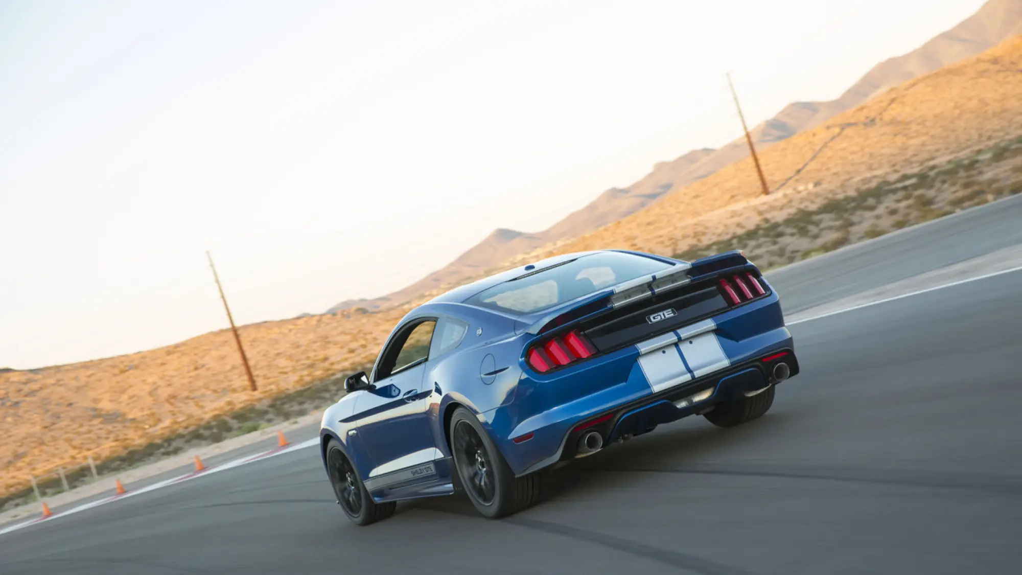 Shelby Mustang GTE - 5