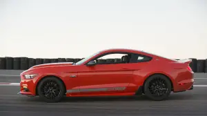 Shelby Mustang GTE - 8