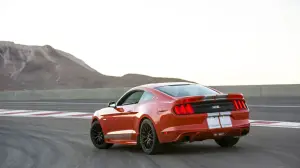 Shelby Mustang GTE