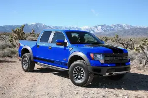 Shelby Raptor - 2