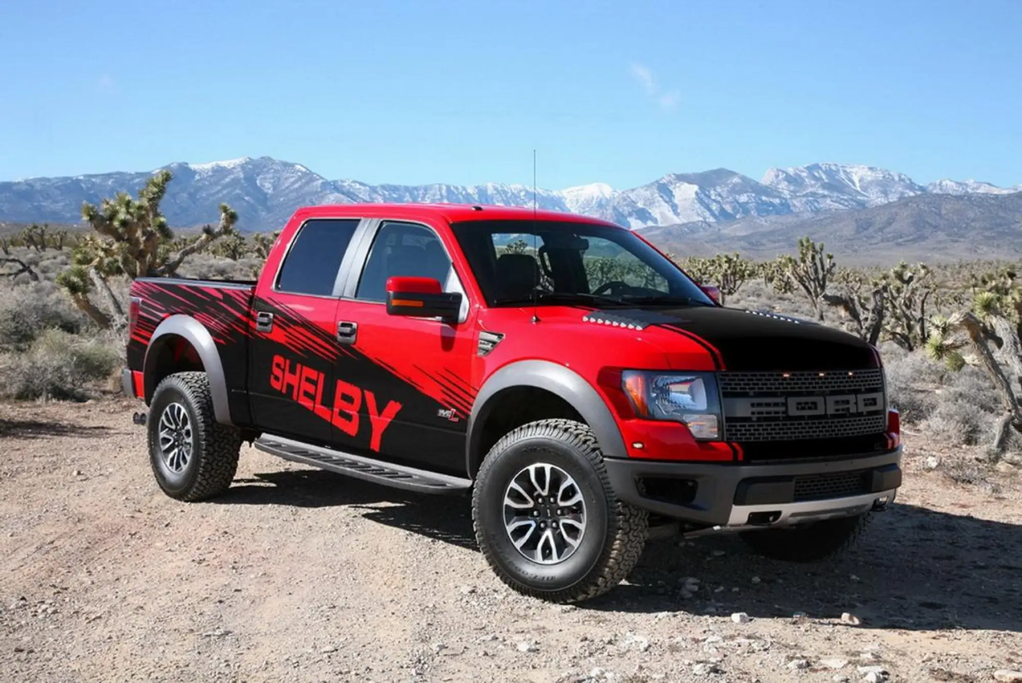 Shelby Raptor - 4