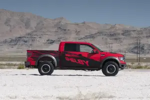 Shelby Raptor - 9