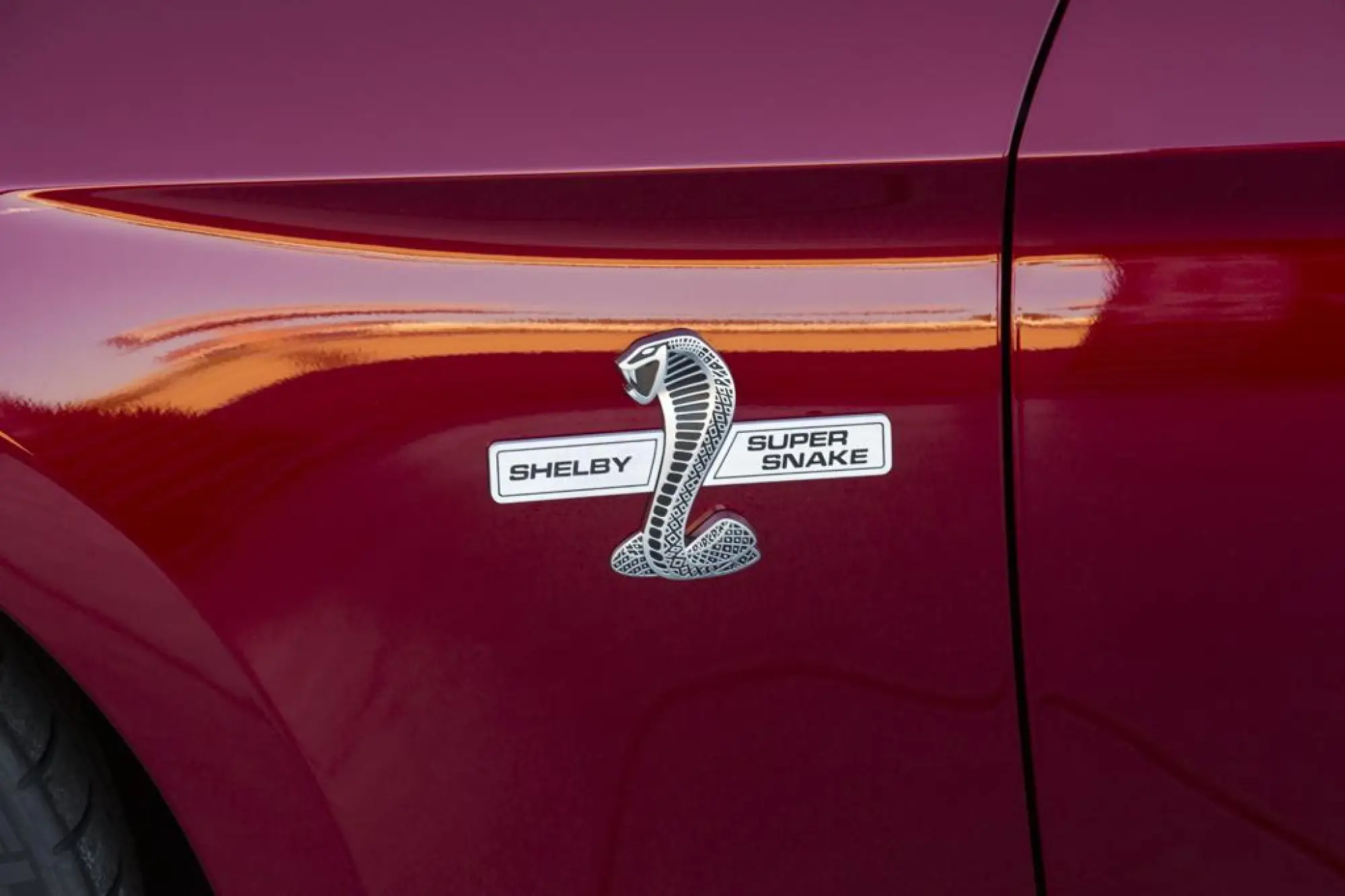 Shelby Super Snake 2015 - 6