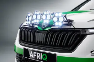 Skoda Afriq Concept