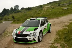 Skoda Fabia R5 - 10