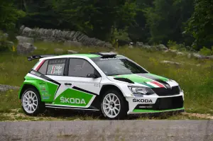 Skoda Fabia R5 - 11