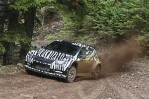 Skoda Fabia R5 - 3