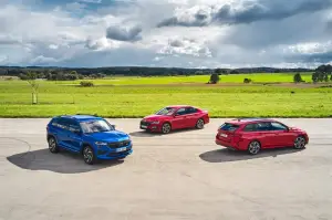 Skoda - Gamma RS