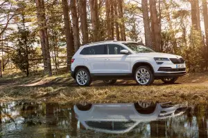 Skoda Karoq 2017 - 10