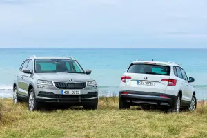 Skoda Karoq 2017