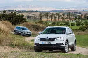 Skoda Karoq 2017 - 130