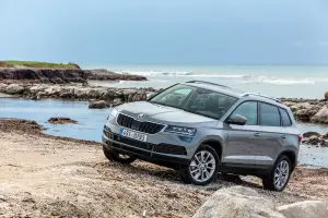 Skoda Karoq 2017 - 135