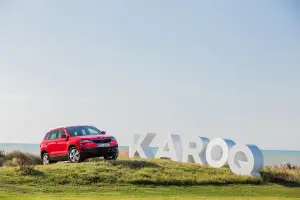 Skoda Karoq 2017 - 178