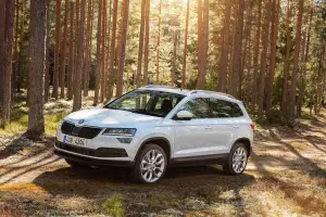 Skoda Karoq 2017 - 6