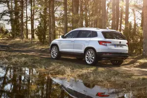 Skoda Karoq 2017 - 7