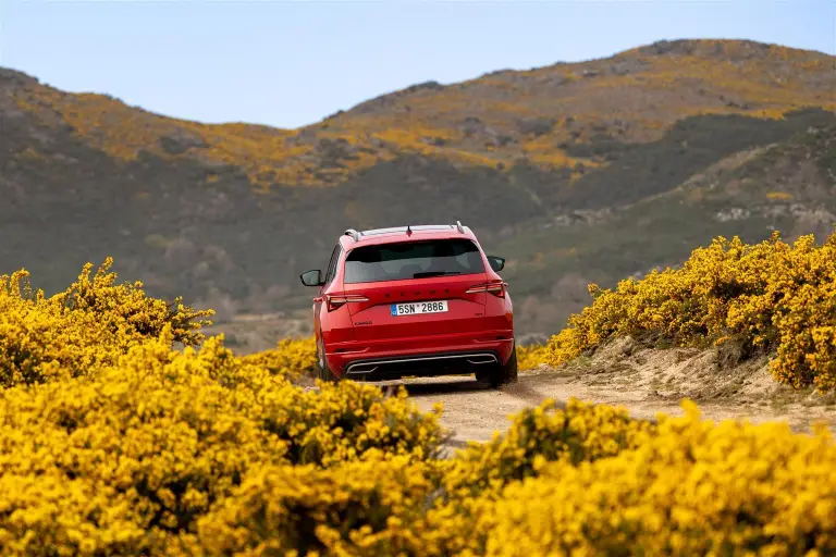 Skoda Karoq 2022 - 18